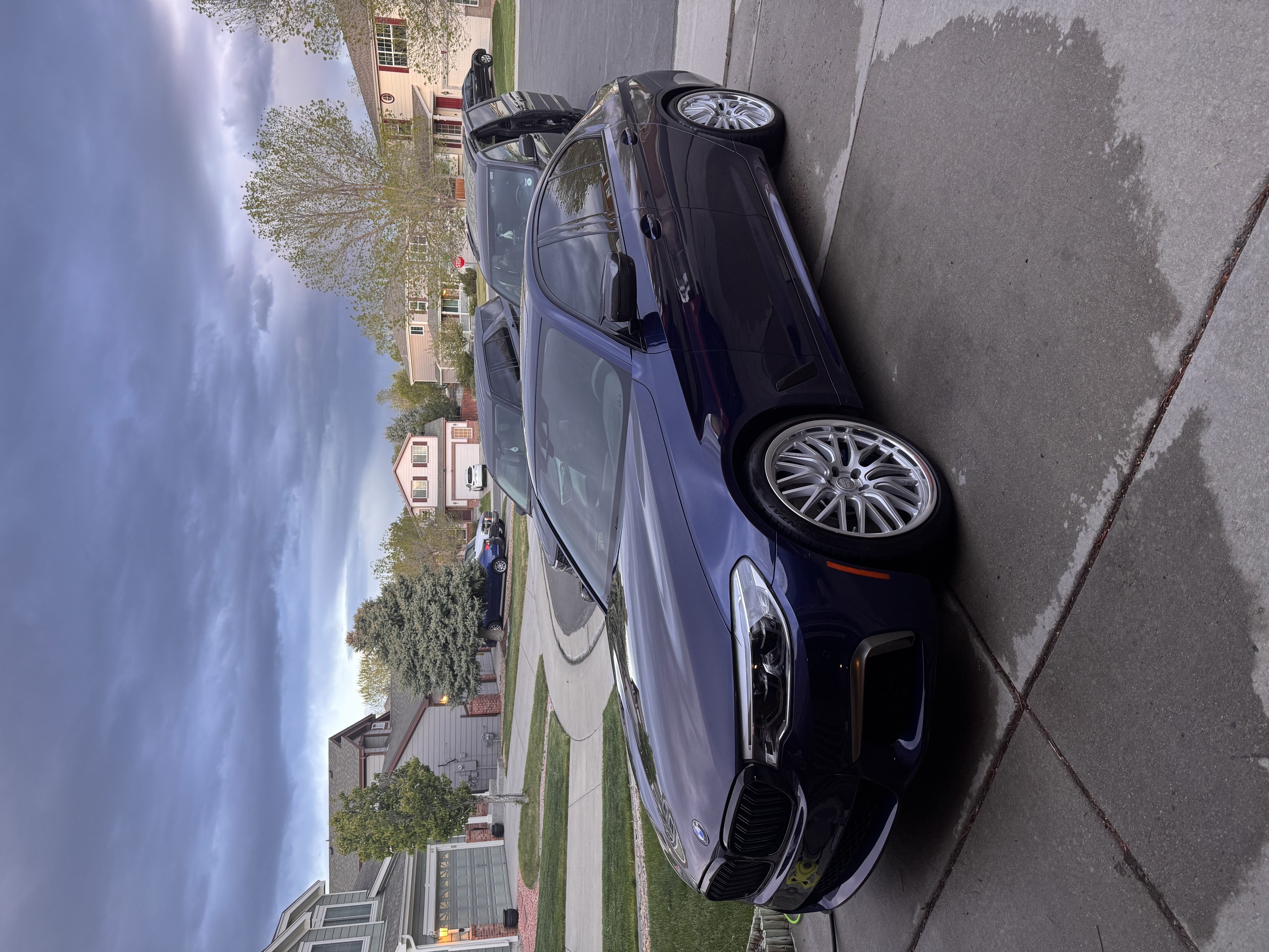 Freshly shampooed carpets and floor mats