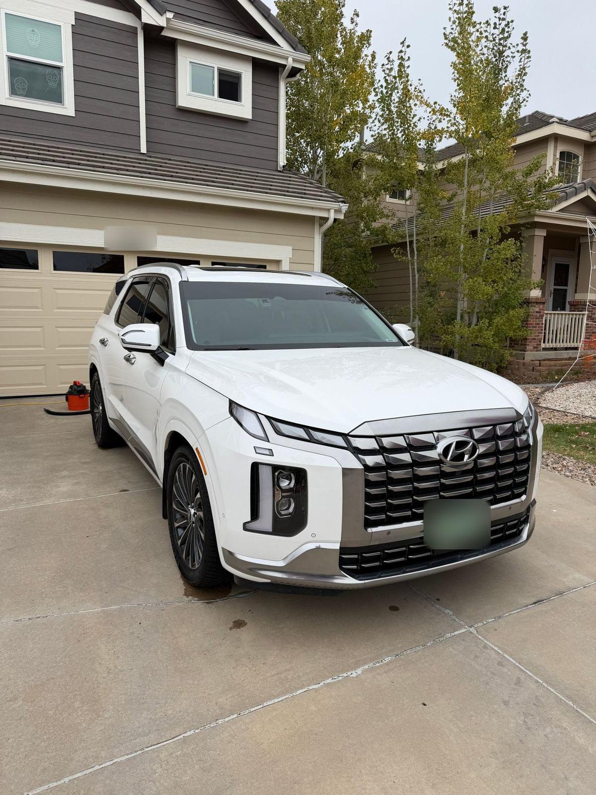 White Hyundai Palisade, freshly detailed, parked in a customer's driveway